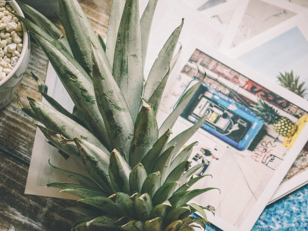 ការធ្វើផ្សព្វផ្សាយតាមអត្ថបទពិសេស