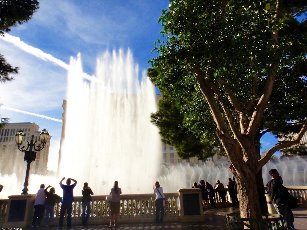 វិធីសាស្រ្តលេងស្លតសម្រាប់អ្នកថ្មី