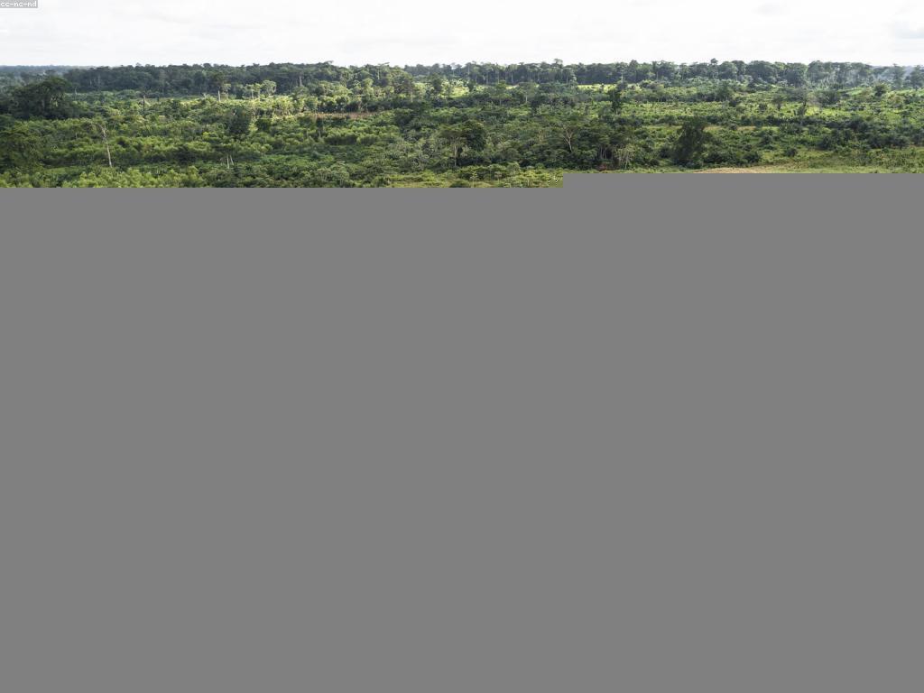 ស្រាវជ្រាវថ្មីៗអំពីស្លតសម្រាប់ការកសិកម្ម