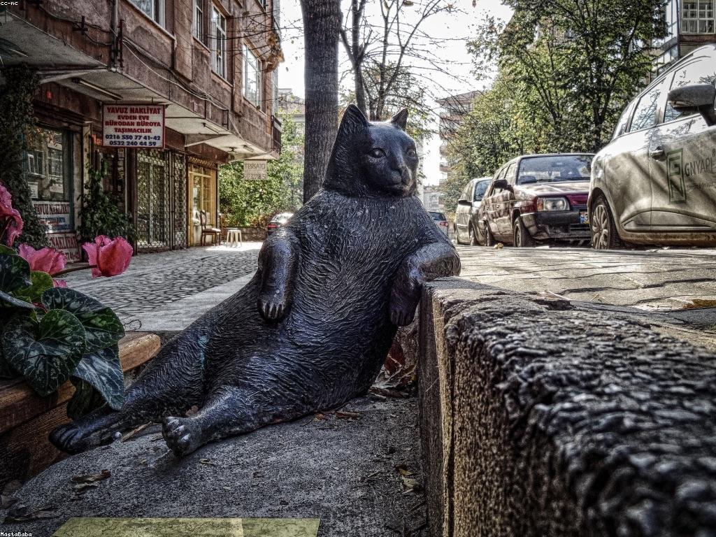 αα·αα·ααααααα»αα αα»ααααα: ααααααΆαααααΆααααααα’ααααα½αααααΉα