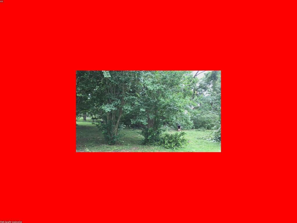 ព័ត៌មានអំពីស្លត និងវិធីសាស្ត្រទស្សន៍ទាយ